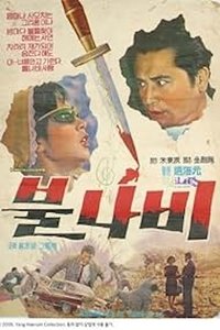 불나비 (1965)