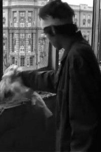 Imagem do Filme Room Service for Bombed Buildings