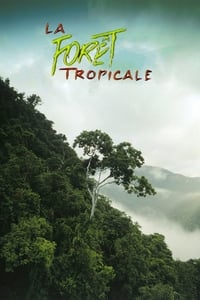 La forêt tropicale (1992)