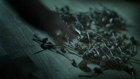 «The Psychonaut (2015)» — обои к фильму #2