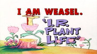 I.R. Plant Life