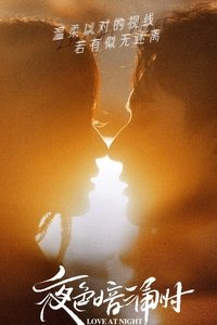 Poster de 夜色暗涌时