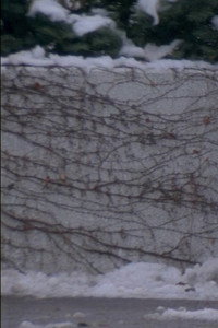 Постер фильма «Любовное письмо (1995)» — (6 из 27)
