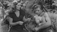 «Волшебный фонтан Тарзана (1949)» — обои к фильму #1