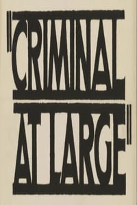 Poster de A Criminal at Large