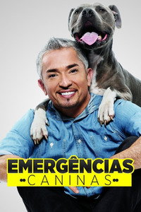 Cesar 911