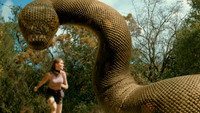 The Anacondas