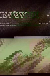 Қайшы
