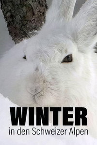 Winter in den Schweizer Alpen