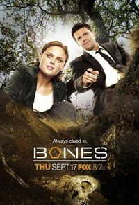 Постер сериала «Кости (2005 - 2017)» — (75 из 181)