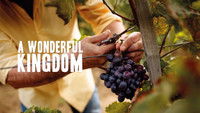 A Wonderful Kingdom
