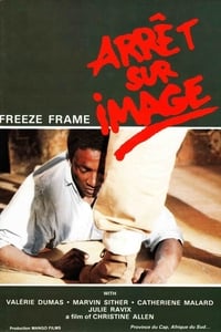 Arrêt sur image (1987)