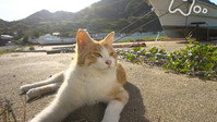Fukuoka - Genkai Sea and Hibiki Sea -