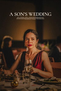 Poster de A Son's Wedding
