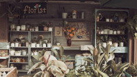 «The Marigolds Listen (2021)» — обои к фильму #1