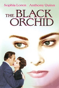Постер фильма «Черная орхидея (1958)» — (5 из 10)