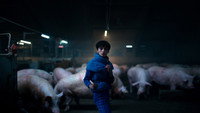 Обои к сериалу «Ковбой из Копенгагена (2022-2023)» — (25 из 38)