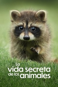 Poster de La vida secreta de los animales