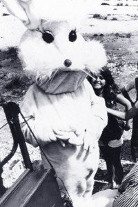 Постер фильма «Santa and the Ice Cream Bunny (1972)» — (1 из 2)