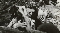 «Последний поезд из Ган Хилл (1959)» — обои к фильму #6