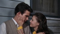 «Великолепие в траве (1961)» — обои к фильму #3