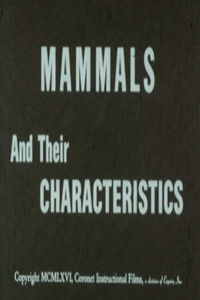 poster_Mammals and Their Characteristics