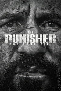 The Punisher: One Last Kill