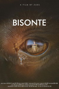 Imagem do Filme Bisonte