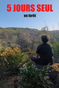 5 jours seul en forêt (2025) poster