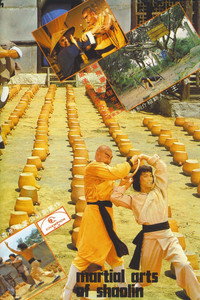 Постер фильма «Разные пути кунг-фу (1978)» — (5 из 5)