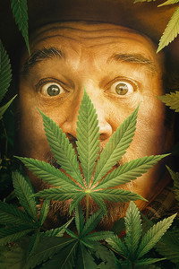 Постер сериала «Growing Belushi (2020)» — (1 из 7)