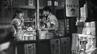 «Юная грудь (1958)» — обои к фильму #1
