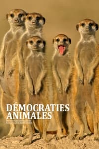 tv show poster D%C3%A9mocraties+animales 2021