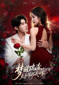 梦醒踹渣,太子爷拐我回家