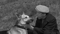 «Ко мне, Мухтар! (1964)» — обои к фильму #8