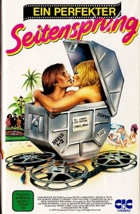 Movieposter Ein perfekter Seitensprung
