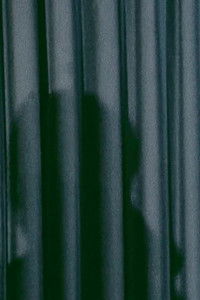 Imagem do Filme Amid Flowers, Crowns, and Tears