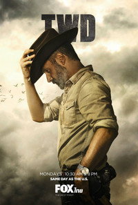 Постер сериала «Ходячие мертвецы (2010-2022)» — (45 из 396)