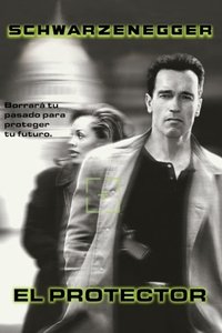 Poster de El Protector