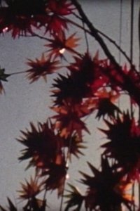 Imagem do Filme 東京蜜月