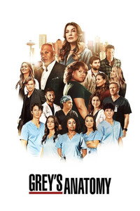 Постер сериала «Анатомия страсти (2005)» — (66 из 301)