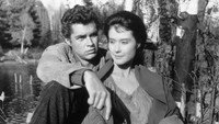 «Приключения молодого человека (1962)» — обои к фильму #1