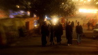 «Жар-птица (2024)» — обои к фильму #1