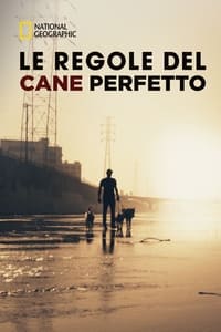 copertina serie tv Le+Regole+del+Cane+Perfetto 2019