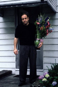 Постер сериала «Сопрано (1999-2007)» — (18 из 65)