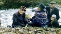 «Прогноз погоды (1983)» — обои к фильму #8