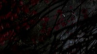 Body Snatchers