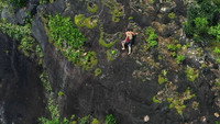 Peaks of Peril