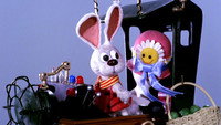 Cottontail