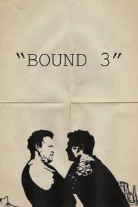 Poster de Bound 3